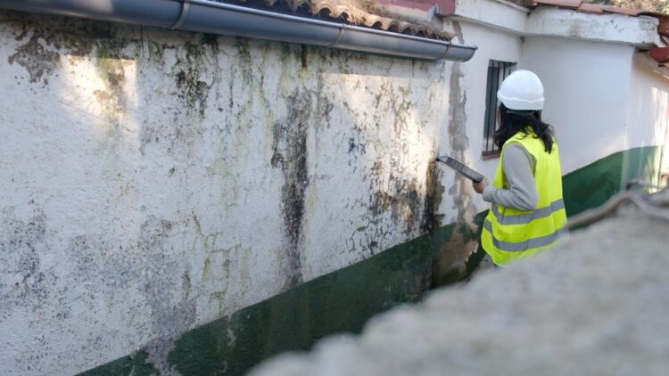 Lead Dust Sampling Technician Certification: Who Needs It and What It Covers
