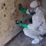 Mold Assessor