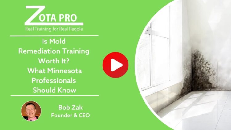 Is Mold Remediation Training Worth It? What Minnesota Professionals Should Know