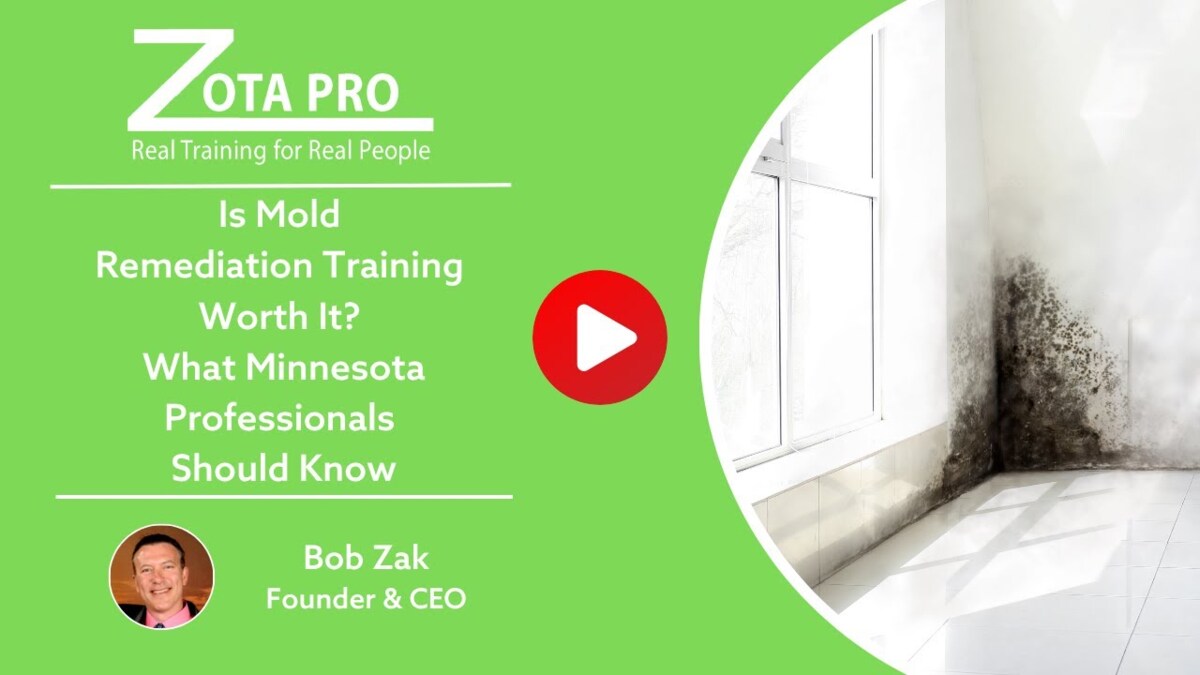 Is Mold Remediation Training Worth It? What Minnesota Professionals ...