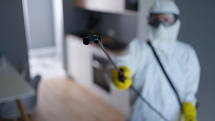 Want to Get Mold Certified? Here’s How to Do It the Right Way