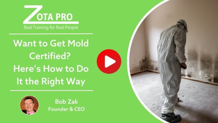 Want to Get Mold Certified? Here’s How to Do It the Right Way