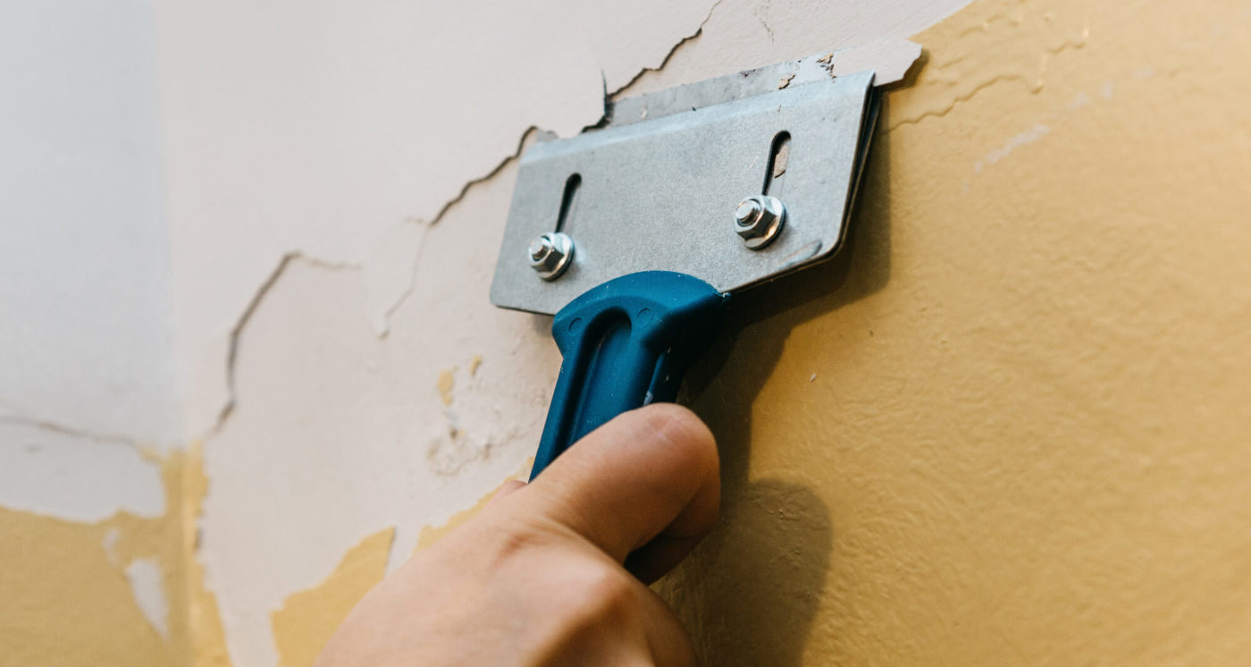 Q&A From Professionals Renovations and Removal of Lead Paint ZOTA Professional Training