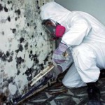 mold abatement worker