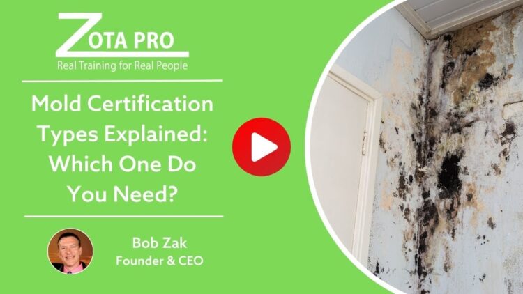 Mold Certification Types Explained: Which One Do You Need?